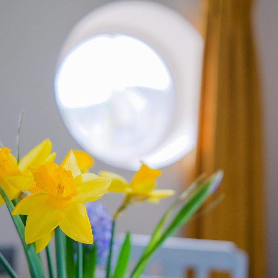Burnside Cottage Sleights المظهر الخارجي الصورة
